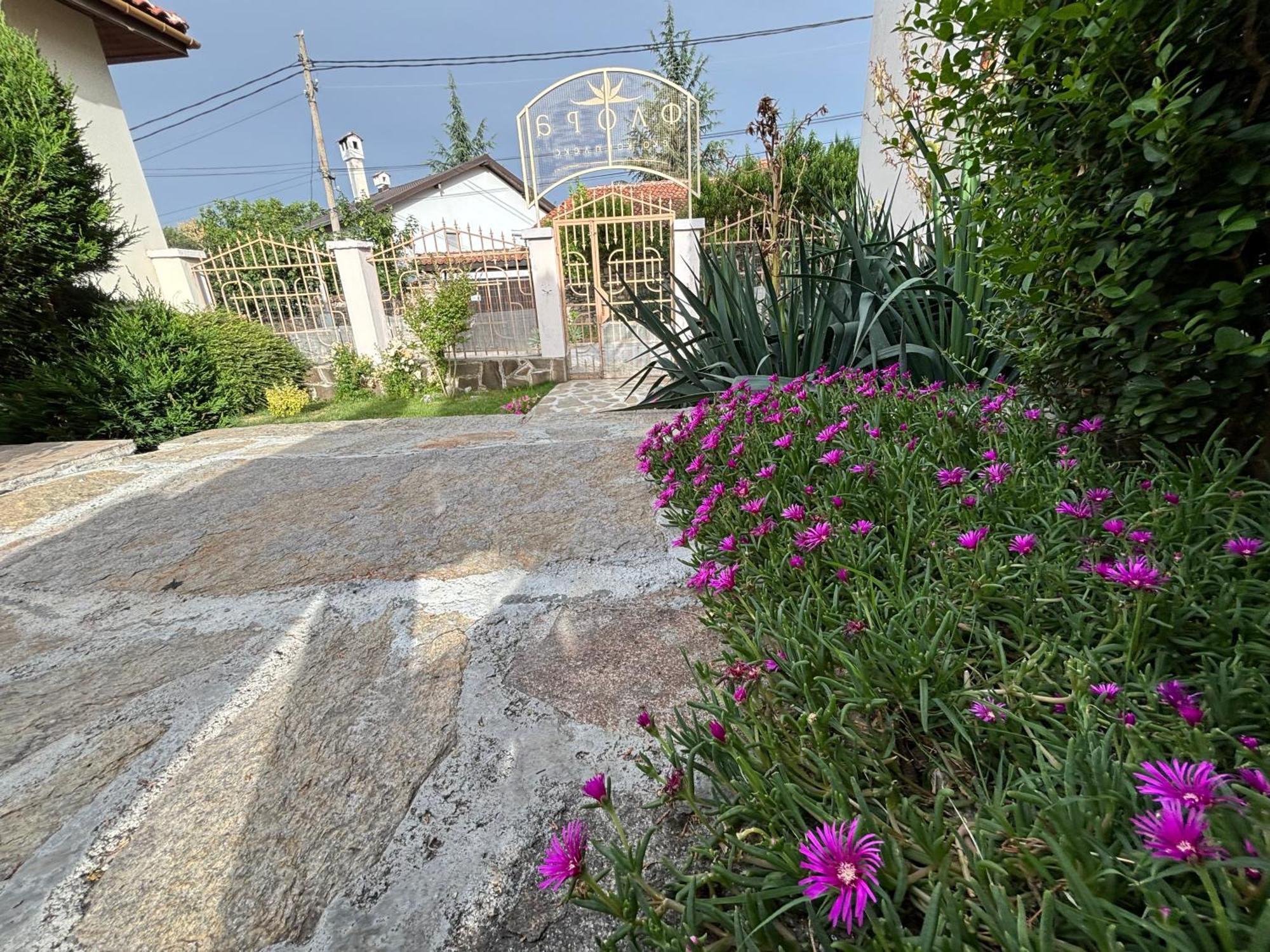 Вила Флора Паталеница מראה חיצוני תמונה